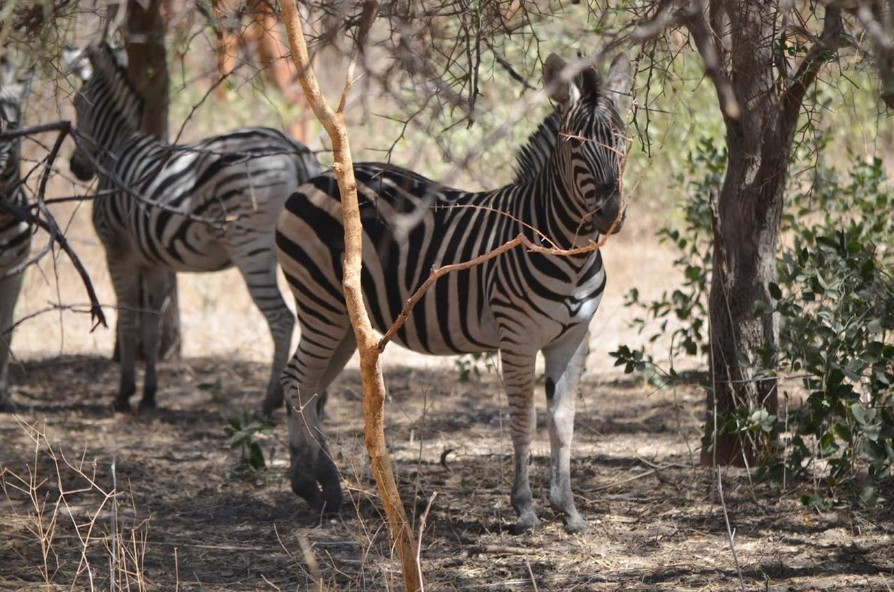 Terre D'Afrique Hotel Popenguine Zewnętrze zdjęcie